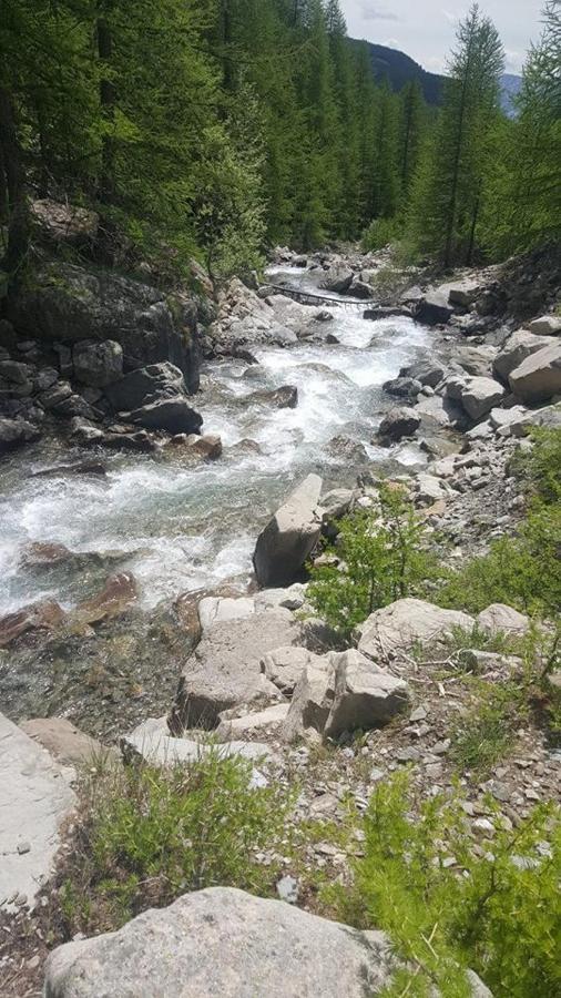 Les Marmottes D Estenc Dış mekan fotoğraf