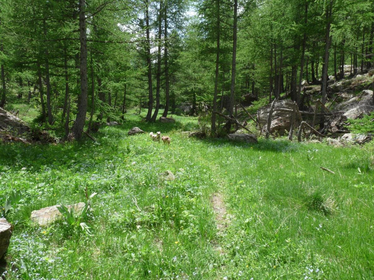 Les Marmottes D Estenc Dış mekan fotoğraf