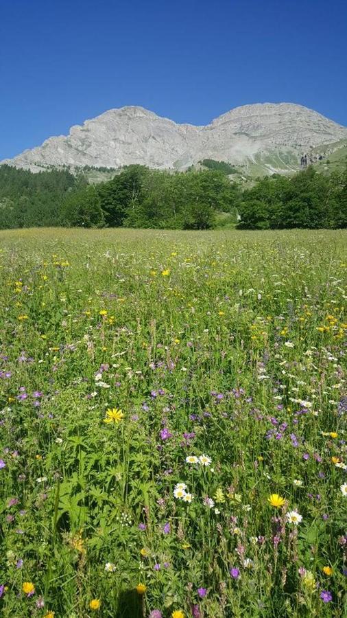 Les Marmottes D Estenc Dış mekan fotoğraf