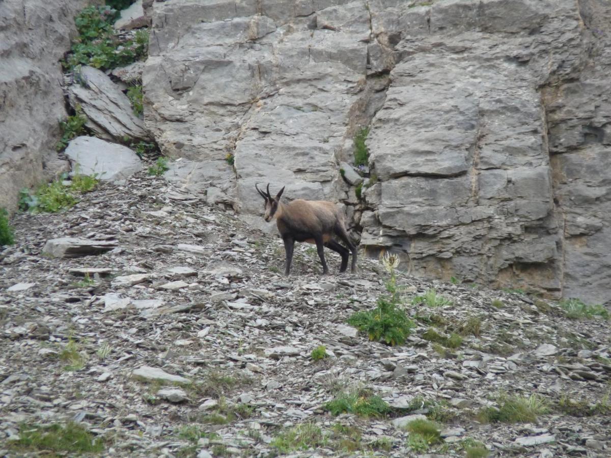 Les Marmottes D Estenc Dış mekan fotoğraf