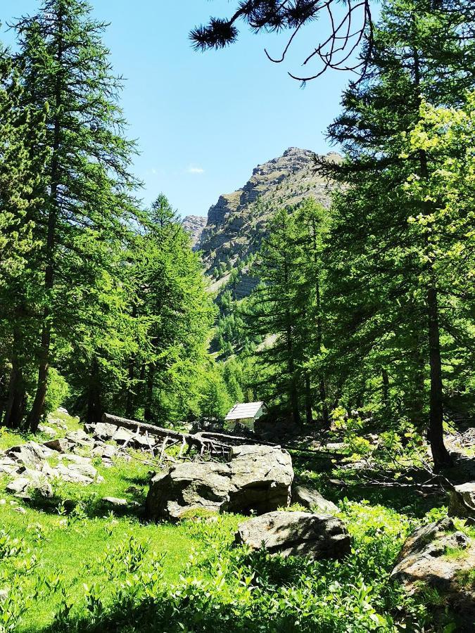 Les Marmottes D Estenc Dış mekan fotoğraf